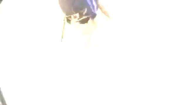 Vagas festival 2003 год (Франция, дюна де Пила) смотреть онлайн