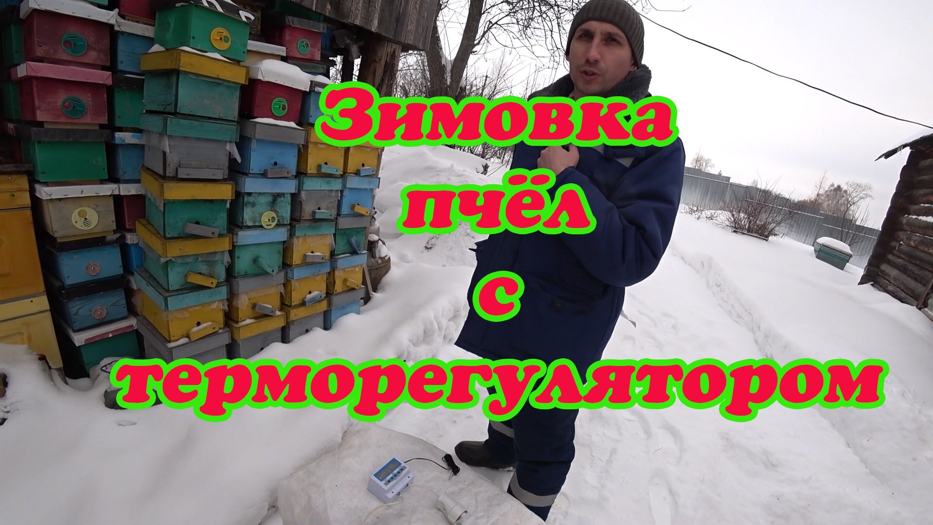 ЗИМОВКА ПЧЁЛ В ФЕВРАЛЕ, УСТАНОВИЛИ МОЩНЫЙ ТЕРМОРЕГУЛЯТОР В ЗИМОВНИК, ПРОСТО СУПЕР. смотреть онлайн