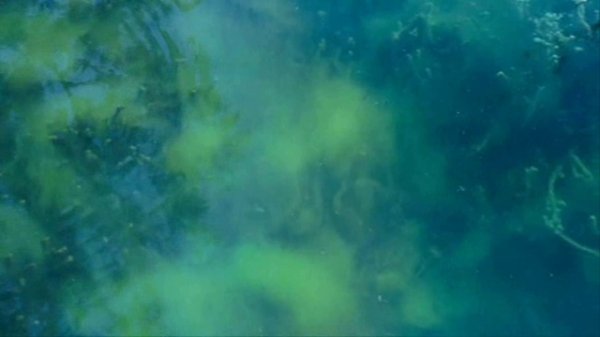 Secret Garden ~ Songs From A Secret Garden