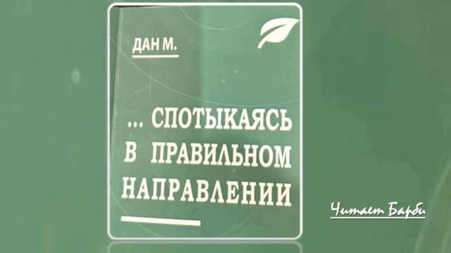 10. Дан М. Спотыкаясь в правильном направлении. Глава 10. Читает Барби. смотреть онлайн