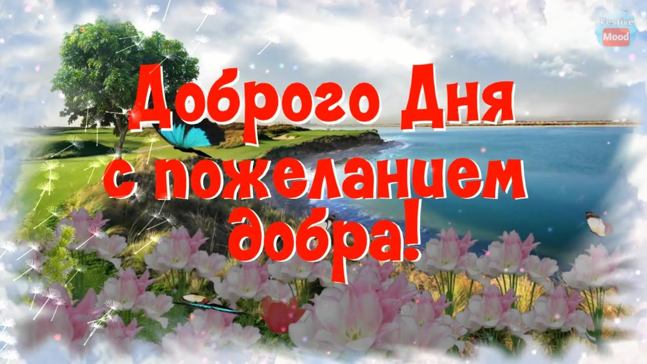 ?Пожелание доброго дня!☕ Доброго дня с пожеланием добра!? Всё будет хорошо!?.mp4 смотреть онлайн