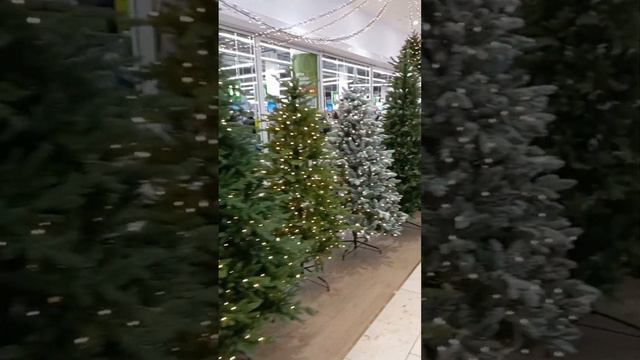 Калина Молл/черная пятница/Владивосток/ смотреть онлайн