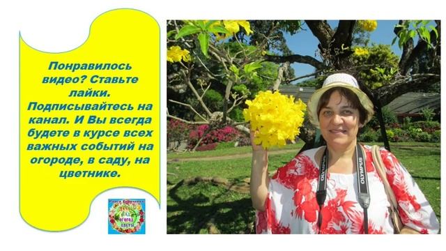 Лучшие дни октября 2019 года для квашения, консервации, сбора Раиса Горяченко Гороскоп овощи рецепт смотреть онлайн