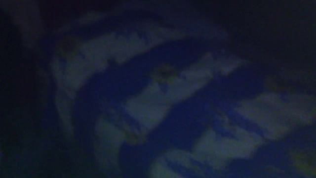 У Тохи на даче, легли спать смотреть онлайн