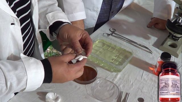 Средство для чистки копаных никелевых монет. Shine Coins. смотреть онлайн
