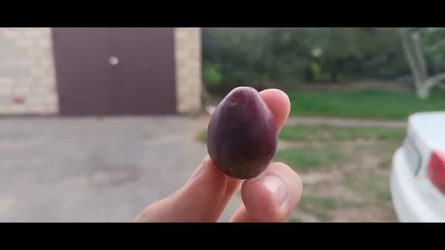 Смартфон TECNO Pova 5 8+128 Гб - ОБЗОР смотреть онлайн