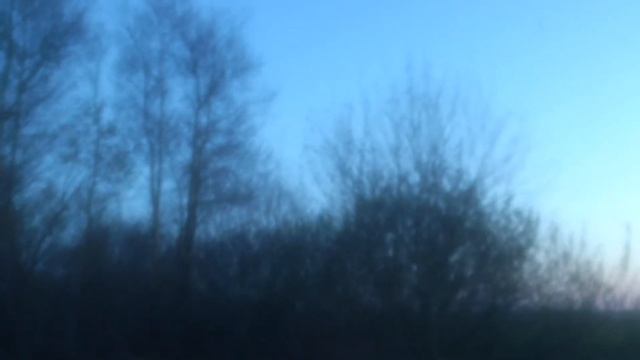 Тьма майских жуков смотреть онлайн