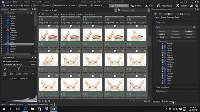 ? ACDSee en Español 101 - Como usar el Modo Administrar - Modo Fotos - Modo Ver by #FerFlo смотреть онлайн