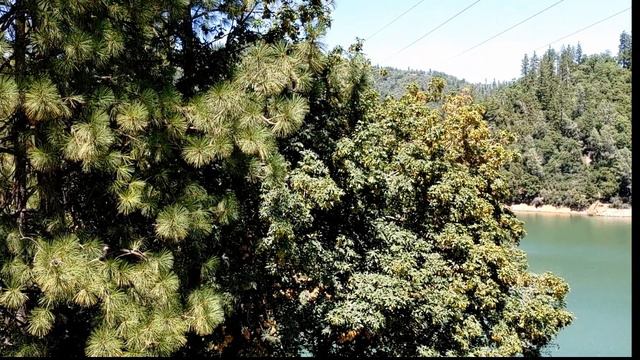 Надейся на Господа друг мой всегда. Семья Сальниковы. фонограмма/минус #минус #фонограмма смотреть онлайн