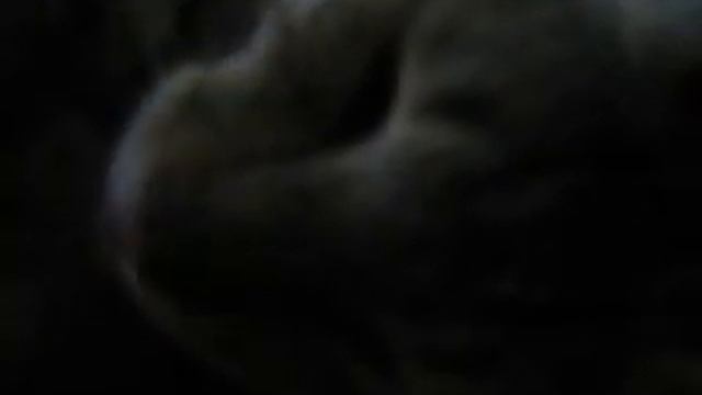 ЯзыЧоК смотреть онлайн