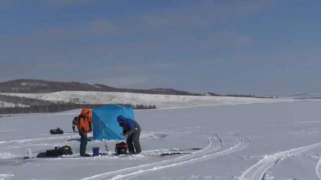 СИДЕЛИ РЫБАЧИЛИ И ТУТ ПРИШЛИ ОНИ! рыбалка на карася весной ловля карася весной со льда на удочку смотреть онлайн
