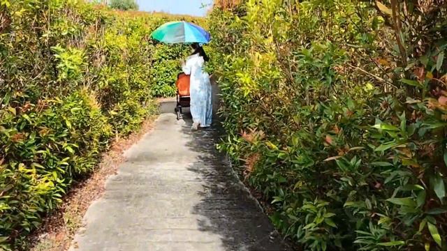 PD Maze - The Largest Hedge Plant Maze in Malaysia смотреть онлайн