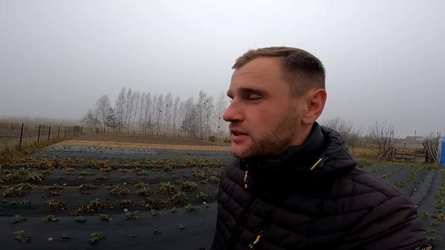 ТОП-5 КУЛЬТУР НА ЯКИХ ТИ ЗАРОБИШ - Збільшуй свій дохід на своїй землі смотреть онлайн