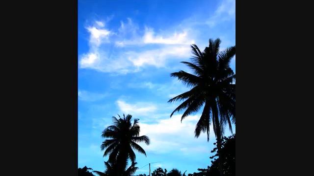 Photographs Taken Using Sony A330 DSLR