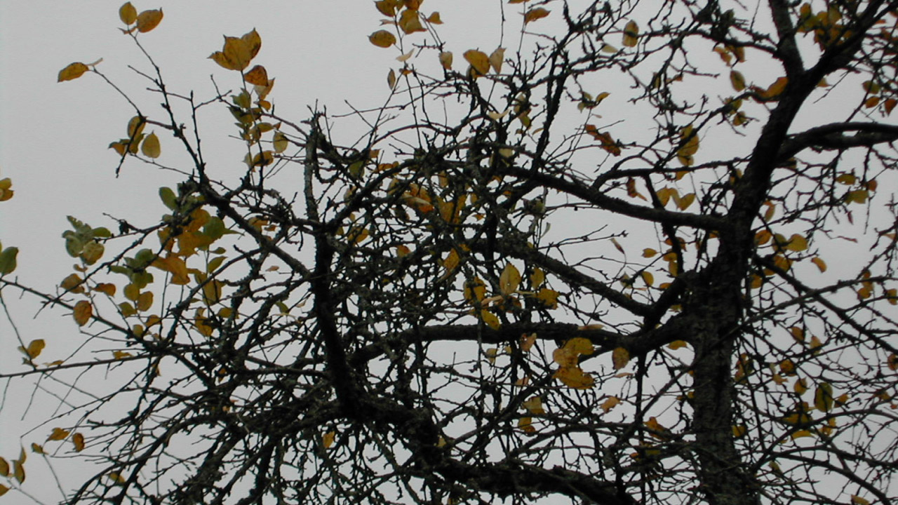 Иеромонах Роман. «Это знают все наверняка...» смотреть онлайн