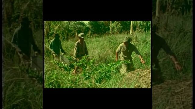 SOLOMON'S STORY PART 1 смотреть онлайн