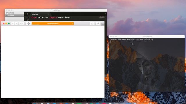 Run WebDriver in Safari 10 смотреть онлайн