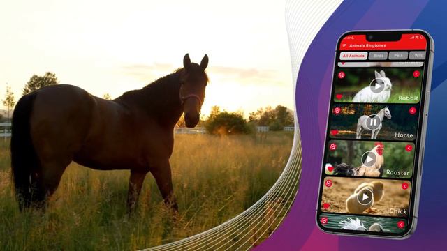 Animals & Birds Ring Tones | Animals sounds as phone ringtones смотреть онлайн