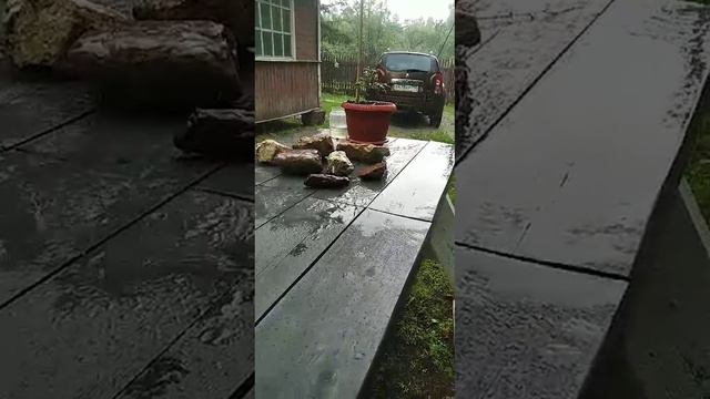 Освежающий дождь 3.06.24