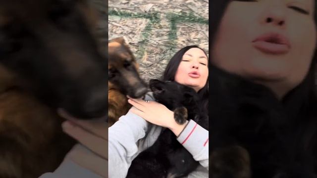 Растерзанная собаками женщина в глуши смотреть онлайн