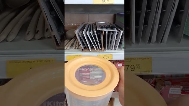 ?ЧТО БЫ ПОСАДИТЬ В ЭТУ ЁМКОСТЬ ? #город61 #flowers #комнатныецветы #обзор #shorts #цветы смотреть онлайн