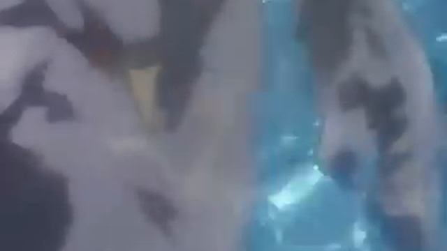 Virus Buster Serge エリカ　パワードスーツ装着シーン transformation Pawardsuit смотреть онлайн