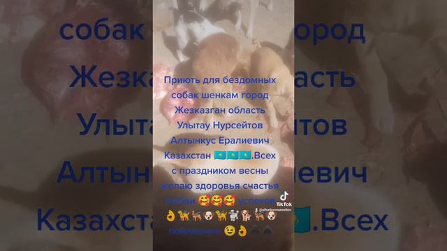Область Улытау город Жезказган Приють для бездомных собак шенкам Нурсейтов Алтынкус Ералиевич 👌♣️♠️ смотреть онлайн