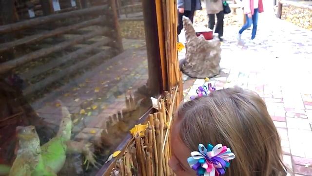 Парк Кирова зоопарк смотреть онлайн