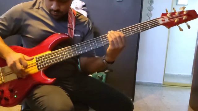 Aria Pro 2 sb1000 5 bass with Delano pickup смотреть онлайн