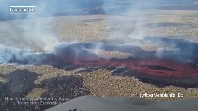 Вулкан взорвался на Галапагосах. Мощное извержение вулкана Вольф в Эквадоре: столб пепла в 4 км смотреть онлайн