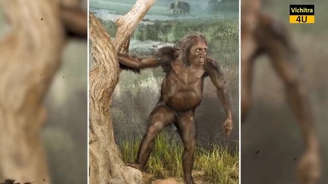 हमारे पूर्वजों का इतिहास क्या था ? Story of Human Origin. смотреть онлайн