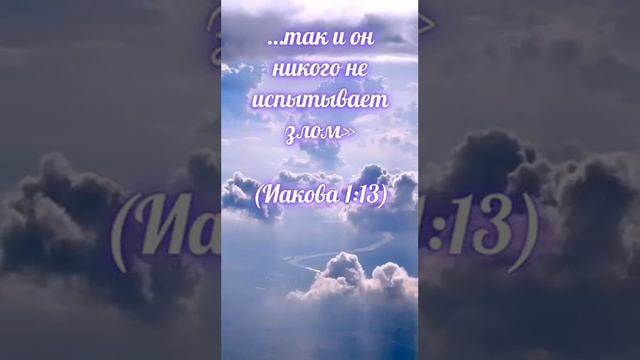 1 ноября 2023 г.(4) смотреть онлайн