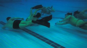 Underwater hockey