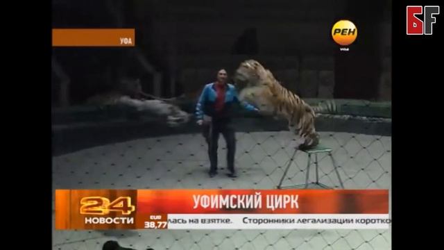 Уфимский госцирк может остаться памятником? смотреть онлайн