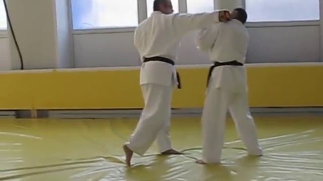 Combat Aikido III смотреть онлайн