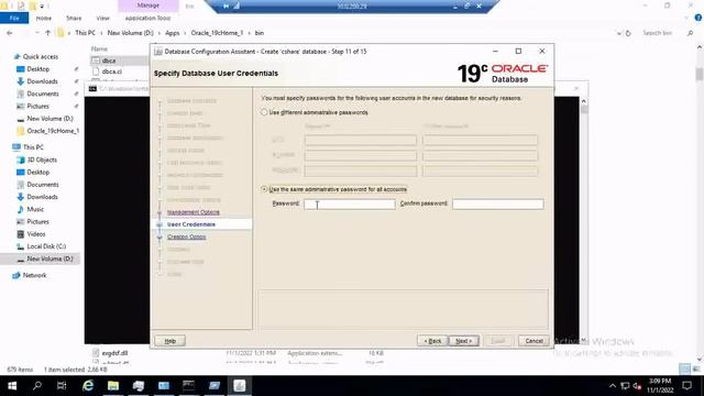 Install Oracle19c Database On Windows Server 2019 смотреть онлайн