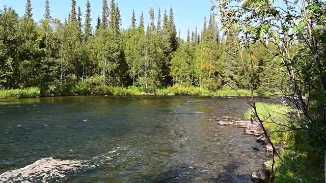 Ловозёрские тундры, река Сейдъяврийок. смотреть онлайн
