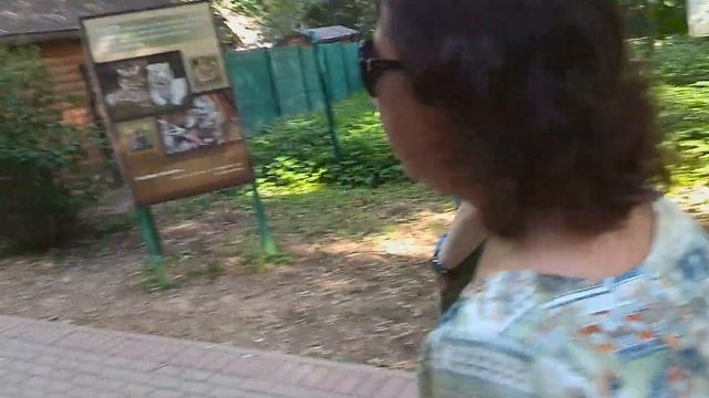 ХИМКИ 2019 3 смотреть онлайн