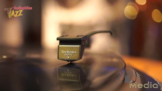 Hi-Res Music 24 Bit - Audiophile Music Collection 2024  - Audiophile Art