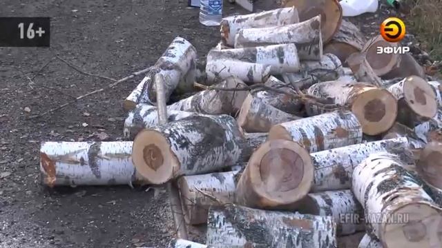 В Казани состоялись открытые слушания, посвященные строительству ВСМ "Москва-Казань" смотреть онлайн
