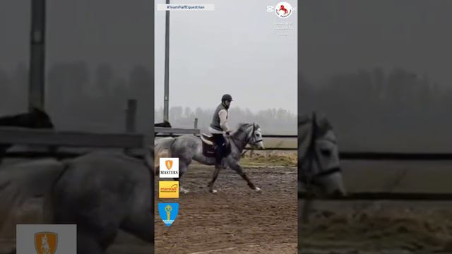 🎇💪Trenujemy👍😎 #teampiaffequestrian #horseriding #konie #equestrian #jazdakonna #jezdzekonno смотреть онлайн