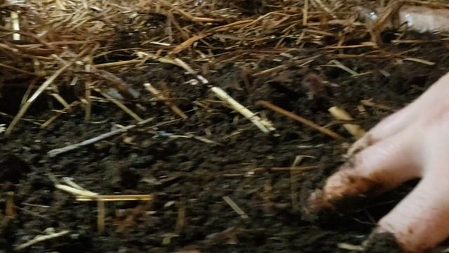 Текущие мероприятия на участке 1 сентября смотреть онлайн