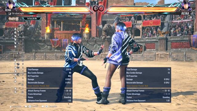TEKKEN 8 REINA BEGINNERS GUIDE! смотреть онлайн