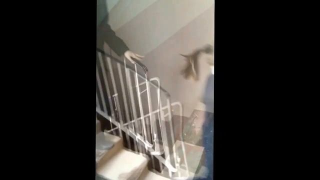 Призраки детей в школе смотреть онлайн