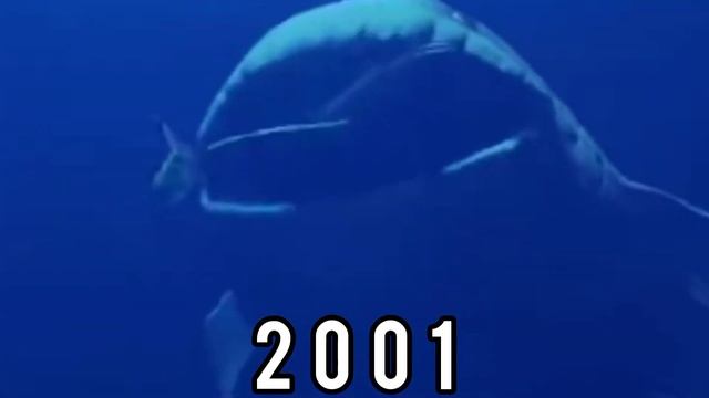 Evolution of the Bloop 1997-2022 смотреть онлайн