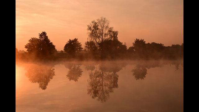 Дмитрий TV. Клип "Все прощаю, все прощаю и прощай навсегда". смотреть онлайн