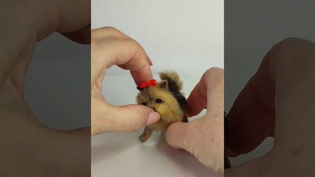 Мини йорк смотреть онлайн