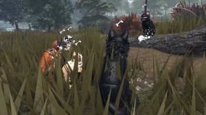 Как ролить за шайку и что надо знать про неё в котах воителях?