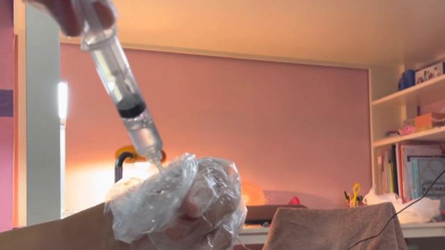 HOW TO DO ARTIFICIAL INSEMINATION IN DOGS | 80% SUCCESS RATE | PROVEN AND TESTED смотреть онлайн