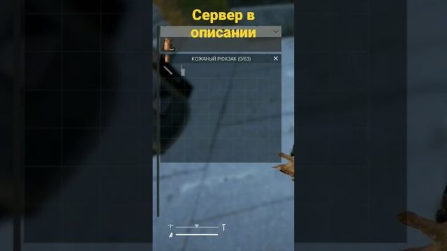 DayZ - гайд по фарму валюты у охотника смотреть онлайн